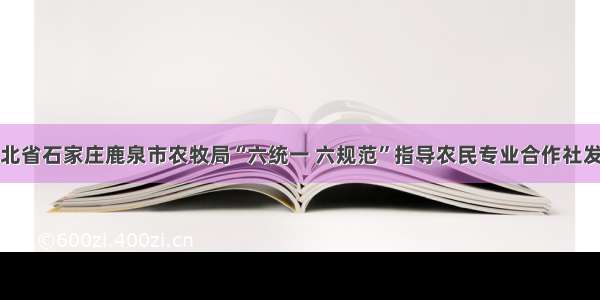 河北省石家庄鹿泉市农牧局“六统一 六规范”指导农民专业合作社发展