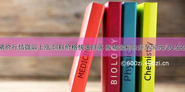 猪价行情微弱上涨 饲料价格快速回落 养猪盈利回升至50元/头左右