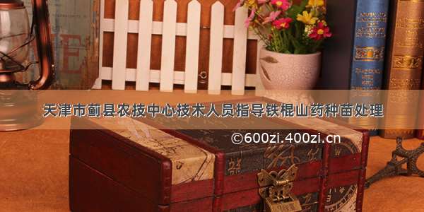 天津市蓟县农技中心技术人员指导铁棍山药种苗处理