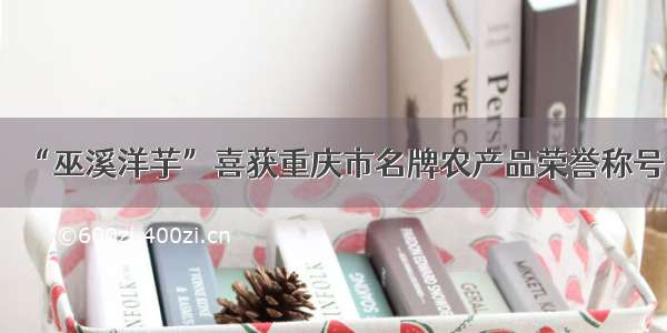 “巫溪洋芋”喜获重庆市名牌农产品荣誉称号