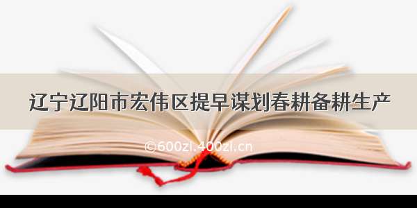 辽宁辽阳市宏伟区提早谋划春耕备耕生产