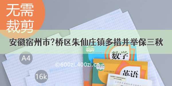 安徽宿州市?桥区朱仙庄镇多措并举保三秋