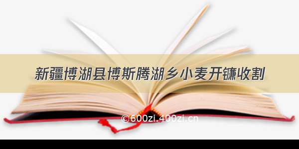 新疆博湖县博斯腾湖乡小麦开镰收割