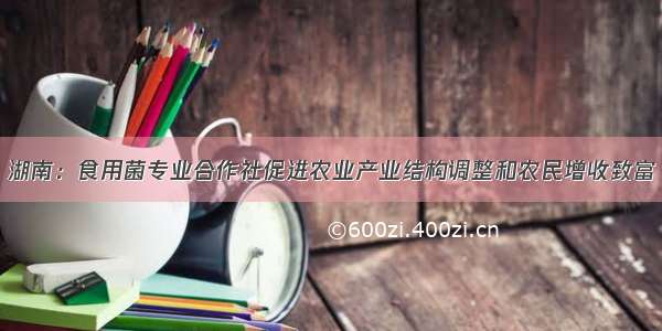 湖南：食用菌专业合作社促进农业产业结构调整和农民增收致富