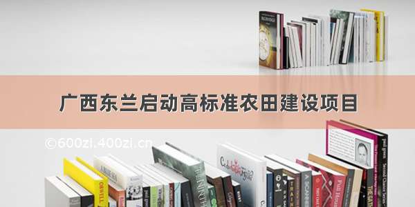 广西东兰启动高标准农田建设项目