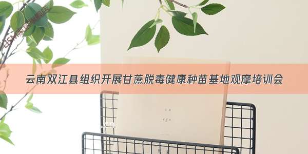 云南双江县组织开展甘蔗脱毒健康种苗基地观摩培训会