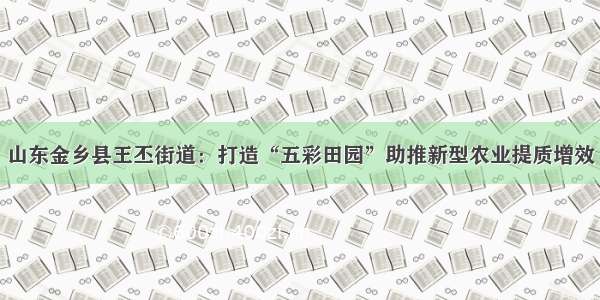 山东金乡县王丕街道：打造“五彩田园”助推新型农业提质增效