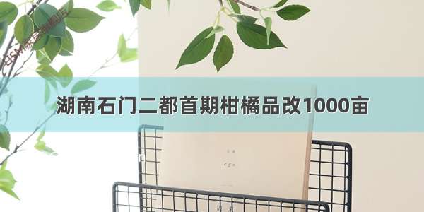 湖南石门二都首期柑橘品改1000亩