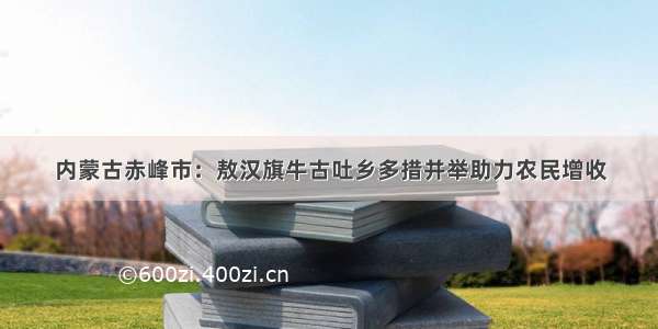 内蒙古赤峰市：敖汉旗牛古吐乡多措并举助力农民增收