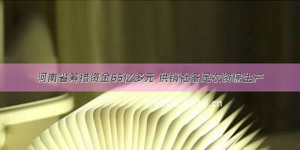 河南省筹措资金65亿多元 供销社备足农资保生产