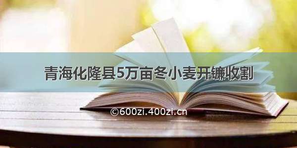 青海化隆县5万亩冬小麦开镰收割