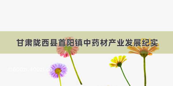 甘肃陇西县首阳镇中药材产业发展纪实