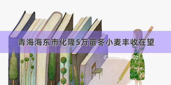 青海海东市化隆5万亩冬小麦丰收在望