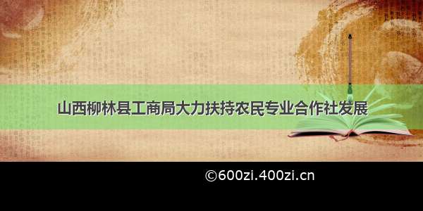 山西柳林县工商局大力扶持农民专业合作社发展