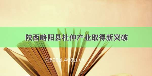 陕西略阳县杜仲产业取得新突破