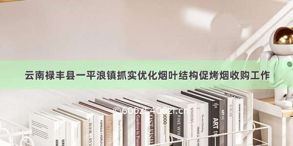 云南禄丰县一平浪镇抓实优化烟叶结构促烤烟收购工作