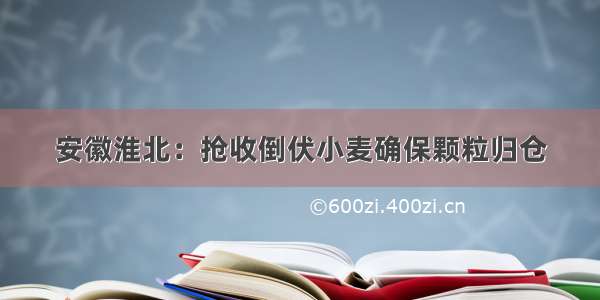 安徽淮北：抢收倒伏小麦确保颗粒归仓