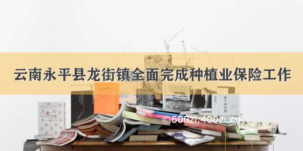 云南永平县龙街镇全面完成种植业保险工作