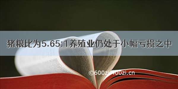 猪粮比为5.65:1养殖业仍处于小幅亏损之中