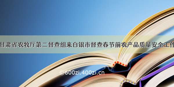 甘肃省农牧厅第二督查组来白银市督查春节前农产品质量安全工作