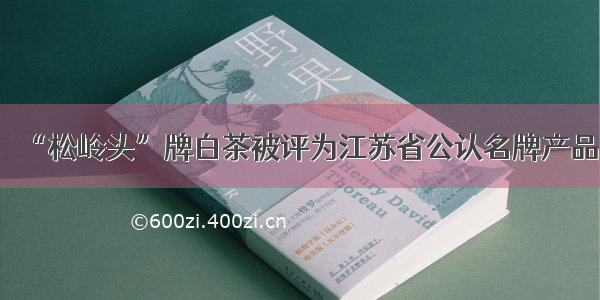 “松岭头”牌白茶被评为江苏省公认名牌产品