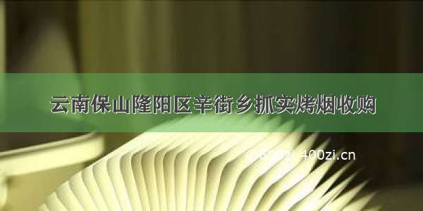 云南保山隆阳区辛街乡抓实烤烟收购