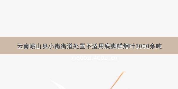 云南峨山县小街街道处置不适用底脚鲜烟叶3000余吨