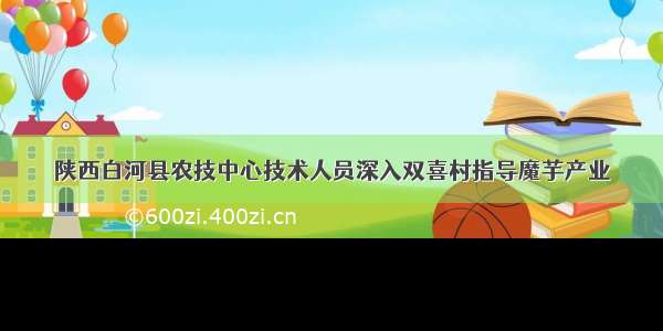 陕西白河县农技中心技术人员深入双喜村指导魔芋产业
