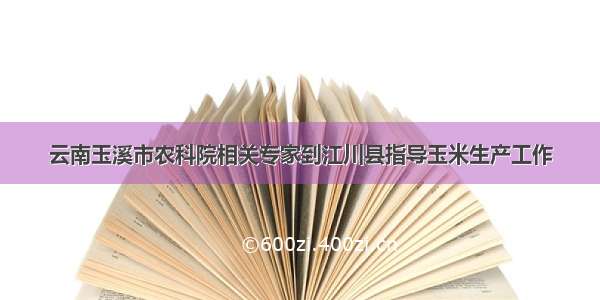 云南玉溪市农科院相关专家到江川县指导玉米生产工作