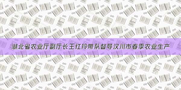 湖北省农业厅副厅长王红玲带队督导汉川市春季农业生产