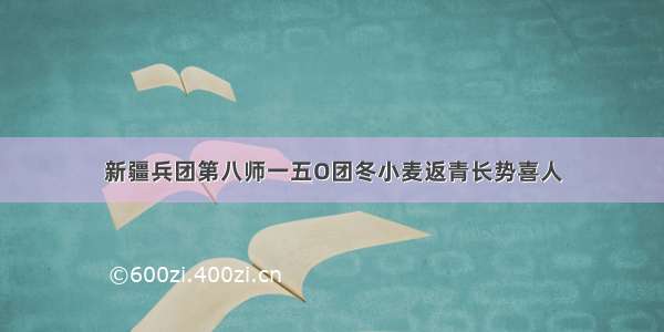 新疆兵团第八师一五O团冬小麦返青长势喜人