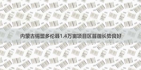 内蒙古锡盟多伦县1.4万亩项目区苜蓿长势良好