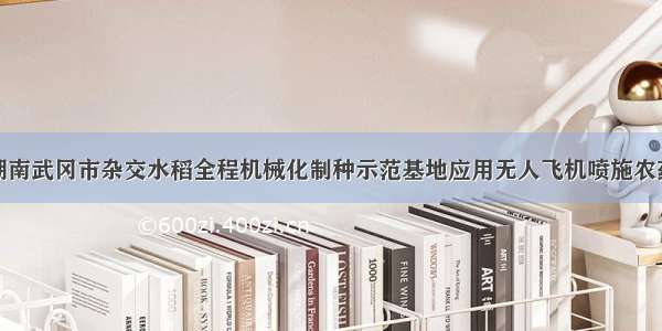 湖南武冈市杂交水稻全程机械化制种示范基地应用无人飞机喷施农药