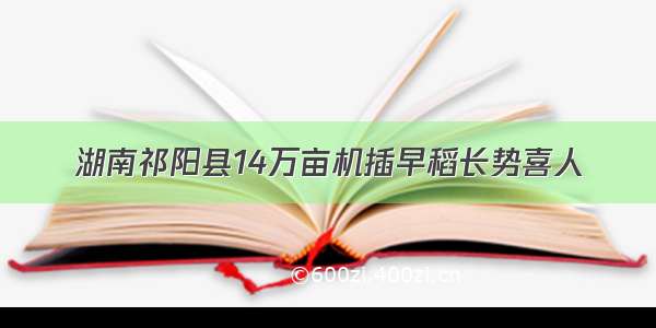 湖南祁阳县14万亩机插早稻长势喜人