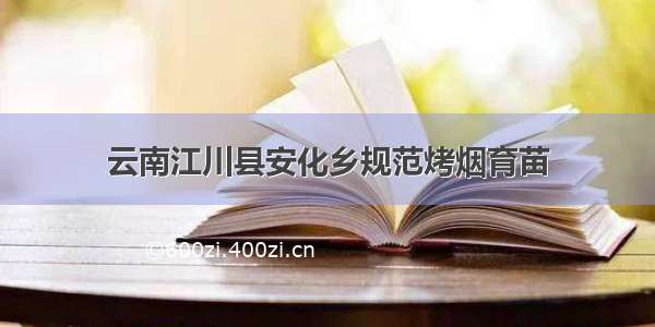 云南江川县安化乡规范烤烟育苗