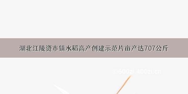 湖北江陵资市镇水稻高产创建示范片亩产达707公斤