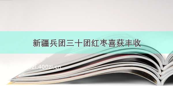 新疆兵团三十团红枣喜获丰收