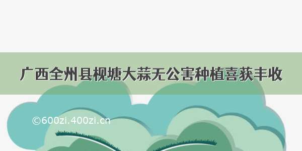 广西全州县枧塘大蒜无公害种植喜获丰收