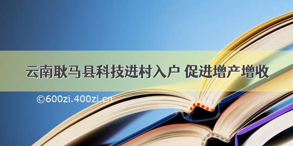 云南耿马县科技进村入户 促进增产增收