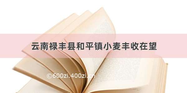 云南禄丰县和平镇小麦丰收在望