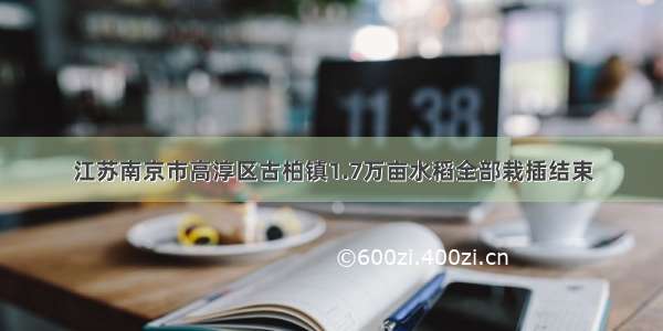 江苏南京市高淳区古柏镇1.7万亩水稻全部栽插结束