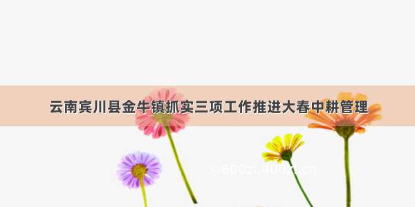 云南宾川县金牛镇抓实三项工作推进大春中耕管理