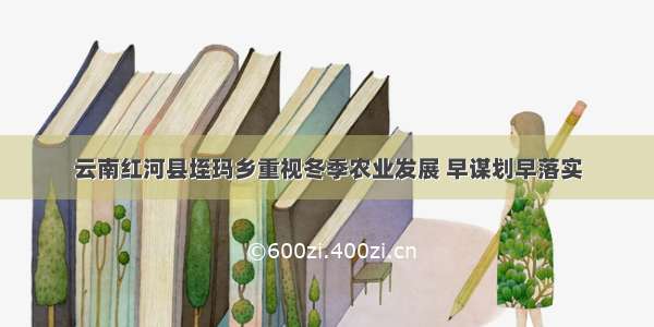 云南红河县垤玛乡重视冬季农业发展 早谋划早落实