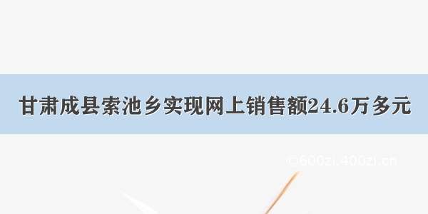 甘肃成县索池乡实现网上销售额24.6万多元