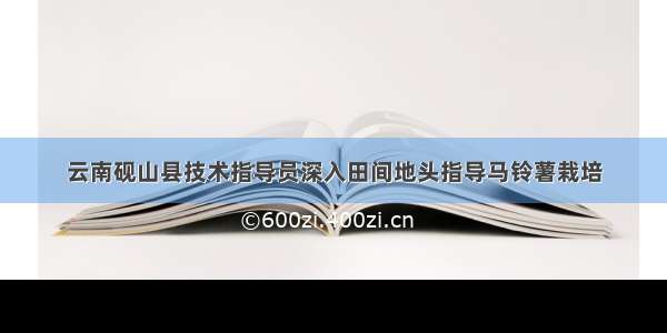 云南砚山县技术指导员深入田间地头指导马铃薯栽培