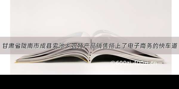 甘肃省陇南市成县索池乡农特产品销售搭上了电子商务的快车道