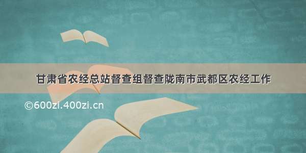 甘肃省农经总站督查组督查陇南市武都区农经工作