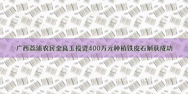 广西荔浦农民金良玉投资400万元种植铁皮石斛获成功