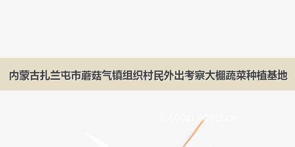 内蒙古扎兰屯市蘑菇气镇组织村民外出考察大棚蔬菜种植基地