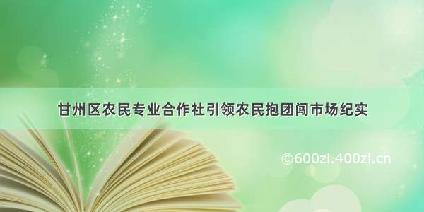 甘州区农民专业合作社引领农民抱团闯市场纪实